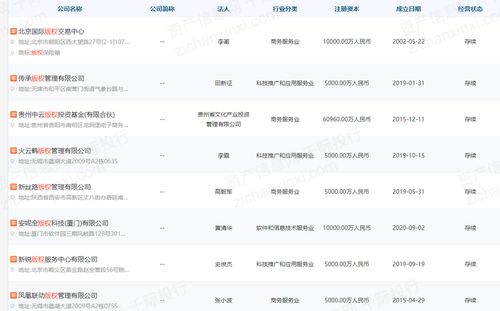 2022年無形資產估值工具和方法研究報告 聚焦銷售與互聯網電子產品銷售